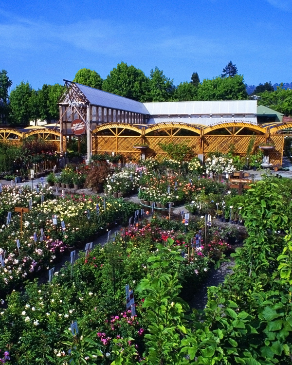 Berkeley Horticultural Nursery